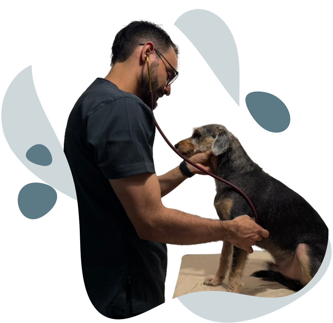Dr. Bernal con mascota en consulta